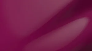 厂家色样